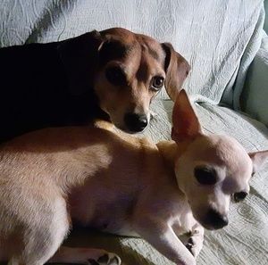 Meet your Posher, Debbie